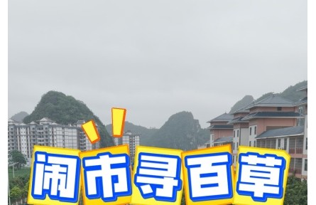 鬧市尋百草 靖西藥市全體驗