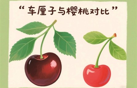 辟謠|“車厘子有毒”的流言與真相