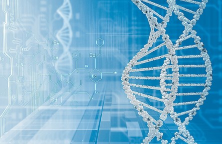 揭秘人類最后一塊“基因拼圖”