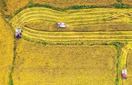 湖北：6.5萬臺農(nóng)機共享北斗服務(wù)平臺 農(nóng)機手像網(wǎng)約車司機一樣接單