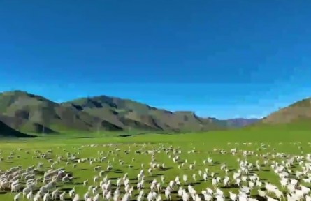 青海：科技賦能綠色發(fā)展 實干擔(dān)當書寫“三農(nóng)”新答卷