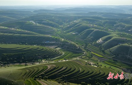 甘肅：久久為功 譜寫(xiě)“三北”工程新篇章