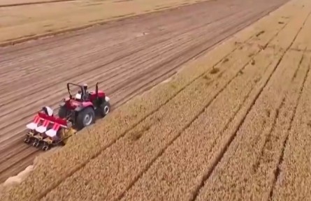 【在希望的田野上·三夏時節(jié)】全國夏糧小麥收獲進度過半