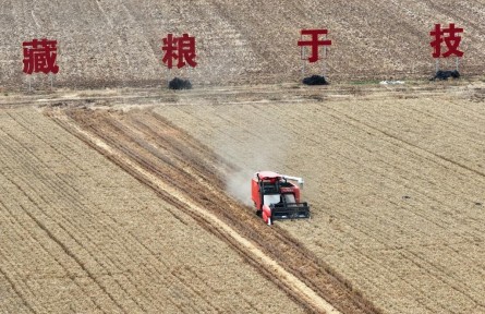 風(fēng)吹麥浪起 再上神禾塬——陜西西安夏收見聞