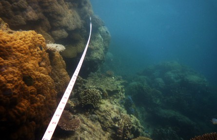 科技名詞|掃海測量 wire drag survey，sweep