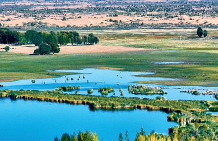 筑牢我國(guó)北方重要生態(tài)安全屏障