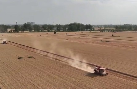 “云端”上的農(nóng)機 助力麥收提速提質(zhì)