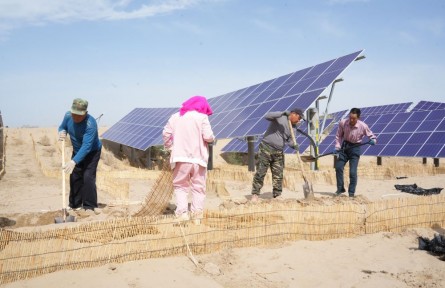 “三北”生態(tài)行|“以工代賑”讓農(nóng)牧民由治沙“看客”變“主角”