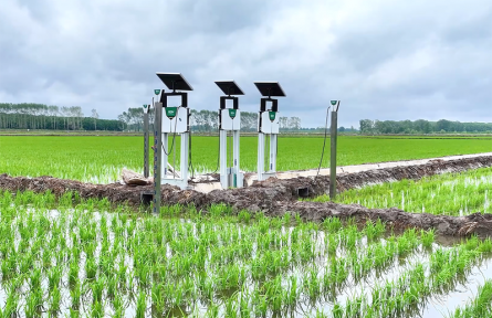 北斗導(dǎo)航繪制“豐收圖景” 農(nóng)機(jī)馳騁助力“三夏”顆粒盡歸倉