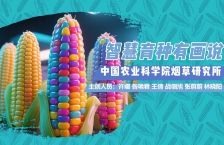 智慧育種有畫說