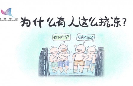 真的有人更不怕冷嗎？原來是骨骼肌中缺少一種蛋白