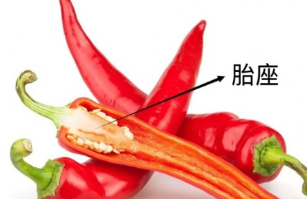 辟謠|辣椒最辣的部位是籽？這是真的嗎？