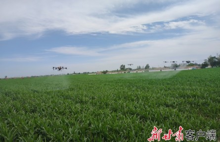 甘肅：采取有力措施力保糧食豐收