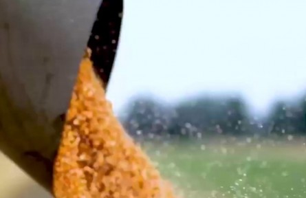 甘肅：提質(zhì)增效 全力建設全國現(xiàn)代寒旱特色農(nóng)業(yè)先行基地