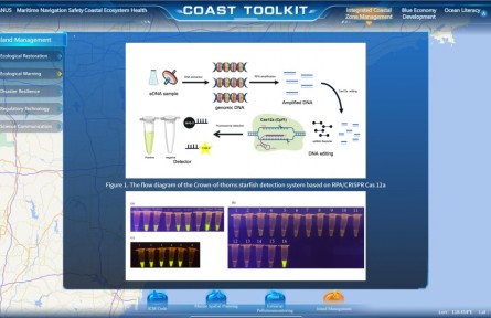 我國海島治理成果亮相聯(lián)合國海洋大會(huì)