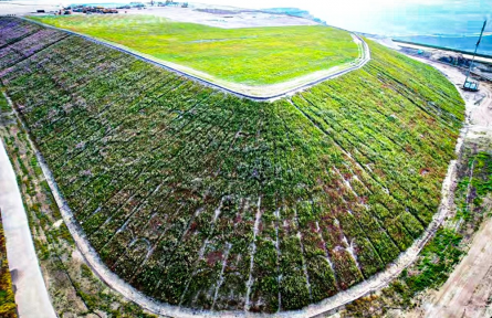 國家能源集團烏海能源：“泥疙瘩”變身“生態(tài)土”