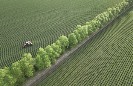 全國“土地日”|像保護(hù)大熊貓一樣保護(hù)黑土地