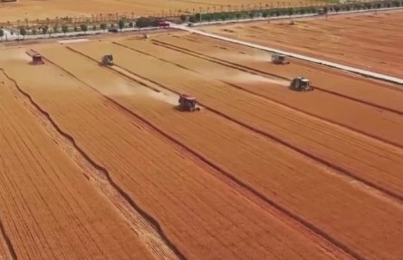 【新思想引領(lǐng)新征程】嚴(yán)守耕地紅線 提升耕地質(zhì)量