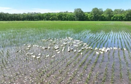 黑龍江：做好耕地“土”文章