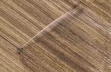 夏播糧食近八成 夏管有序推進(jìn)