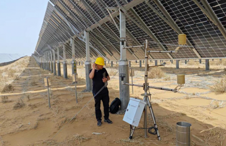 光伏板下盛開金銀花