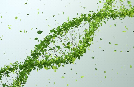 科技名詞|生長因子 growth factor，GF