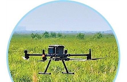 愛鳥護鳥，這些科技手段在助力