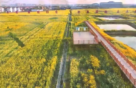 湖北孝感丹陽鎮(zhèn)：以“和美”為筆 繪就鄉(xiāng)村振興新畫卷