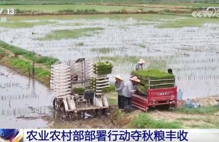 全力以赴打牢秋糧豐收基礎(chǔ) 奮戰(zhàn)100天防汛抗災(zāi)、抓夏管、提單產(chǎn)