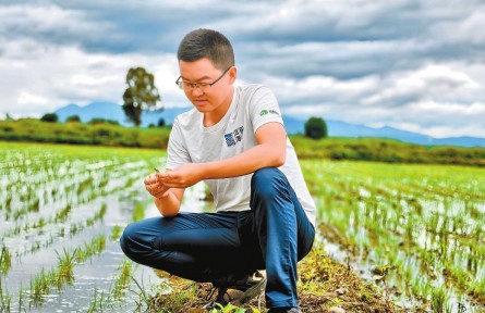 新時(shí)代青年先鋒獎(jiǎng)獲得者張建平：精研生態(tài)種植 守護(hù)高原糧倉(cāng)