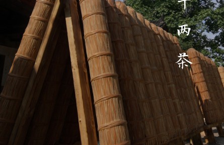 一柱千兩茶，半部茶葉史