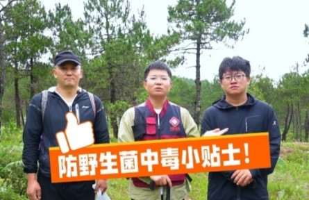 這份“防野生菌中毒小貼士”請收好！