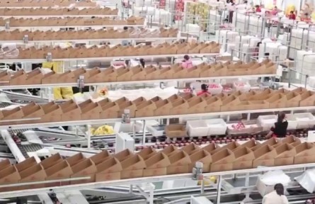 延伸農(nóng)業(yè)產(chǎn)業(yè)鏈群 推動(dòng)陜北特色現(xiàn)代農(nóng)業(yè)高質(zhì)量發(fā)展