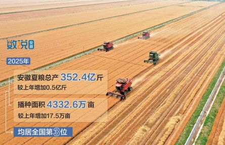 2025年安徽夏糧總產(chǎn)352.4億斤 居全國第三