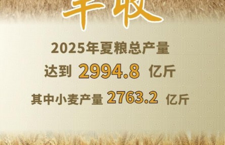 2994.8億斤！2025年夏糧“成績單”出爐