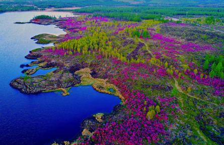 內(nèi)蒙古興安盟：巍巍大興安嶺 夢(mèng)幻阿爾山