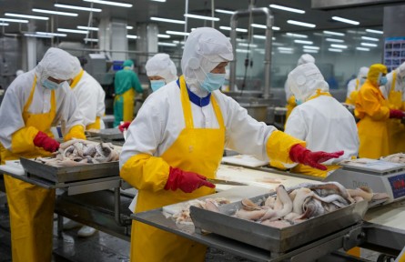 乘風(fēng)向海立潮頭——山東奮力打造現(xiàn)代海洋經(jīng)濟(jì)發(fā)展高地