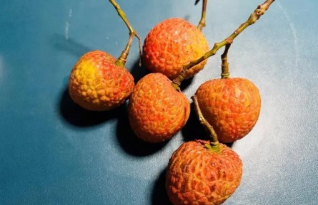 吃荔枝能降糖？千萬不要這么做！