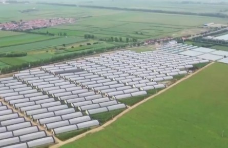 黑龍江：黑土地上的“私人定制”