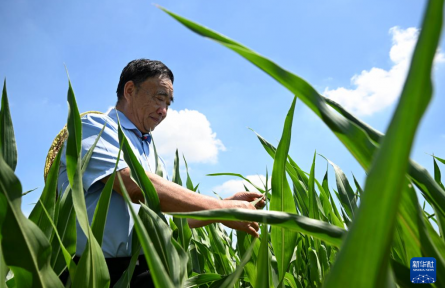 “不管啥時候，都要把地種好”——記時代楷模、“種糧大戶”徐淙祥
