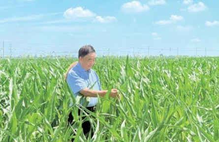 53本筆記，半個世紀“糧心”——記時代楷模、安徽省太和縣種糧大戶徐淙祥