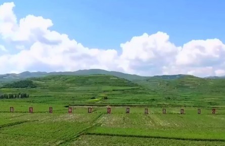 甘肅：“科技小院”精準(zhǔn)賦能鄉(xiāng)村產(chǎn)業(yè)發(fā)展