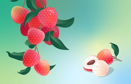 辟謠|荔枝果肉變白就不新鮮了嗎？