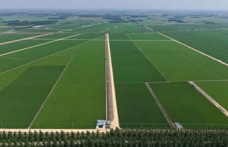 陳邦勛：以有力抓手加快推進農(nóng)業(yè)發(fā)展全面綠色轉(zhuǎn)型