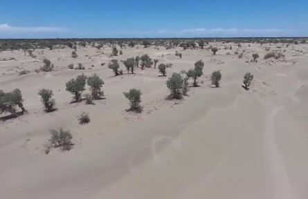 新疆：塔里木河引洪補水 生態(tài)農(nóng)業(yè)補水兩不誤