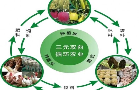 黃土旱塬“三元雙向”農(nóng)業(yè)綠色發(fā)展的實(shí)踐與思考——基于對甘肅省慶陽市的調(diào)研