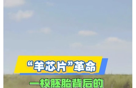 “羊芯片”革命：一枚胚胎背后的鄉(xiāng)村振興密碼