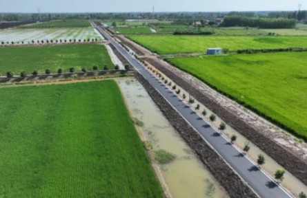 湖北公安景陽崗村：“三塊田”里種出新希望