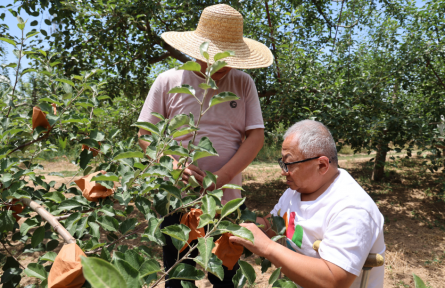 全國自強模范、“瓷娃娃”屈萬平：拄著雙拐的“蘋果CEO”