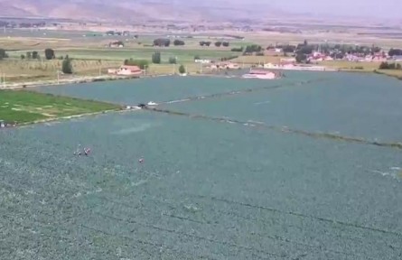 寧夏：“土特產”里的鄉(xiāng)村振興密碼